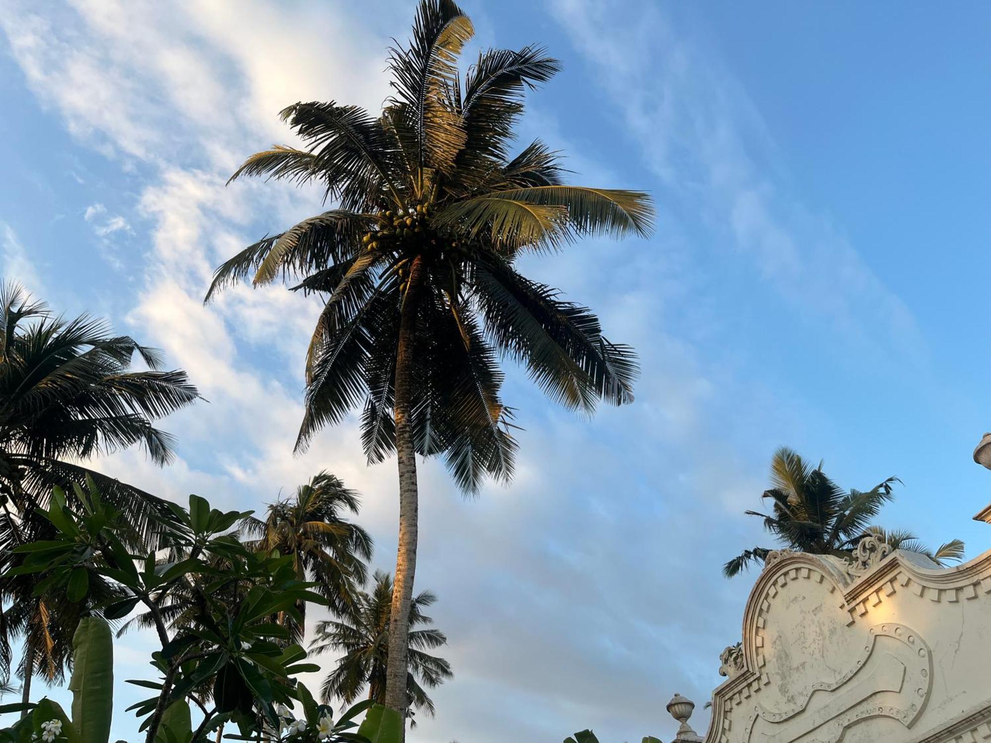 Samudrawasa Luxury Colonial Villa & Beach House Ambalangoda  Extérieur photo